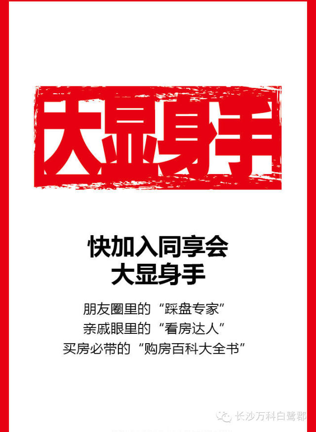 大众汽车10万元左右_月收入10万元