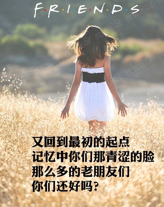 图像不老,我们不散,老朋友们,约起损失!python来吧绘制函数时光图片