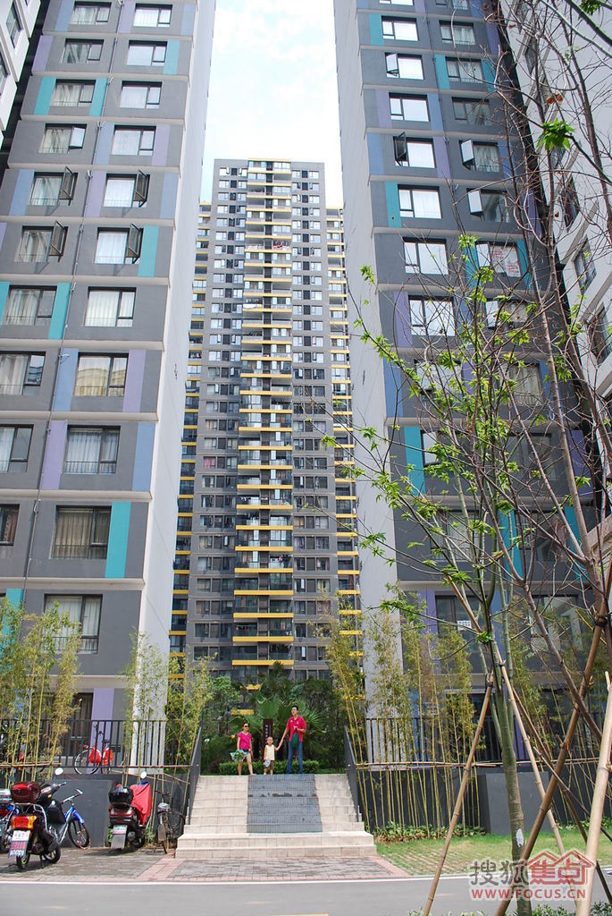 万科金域蓝湾 图片