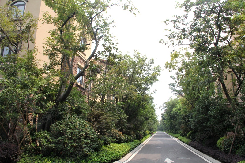 龙湖原山-常州龙湖原山楼盘图片信息-搜狐焦点