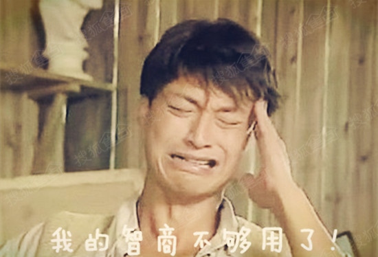 买房贷款收入证明模板_房姐收入够买房(2)