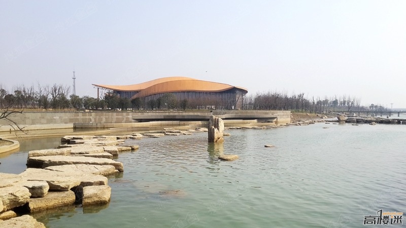 [建设纪实] 随拍滆湖湿地公园,休闲旅游好去处