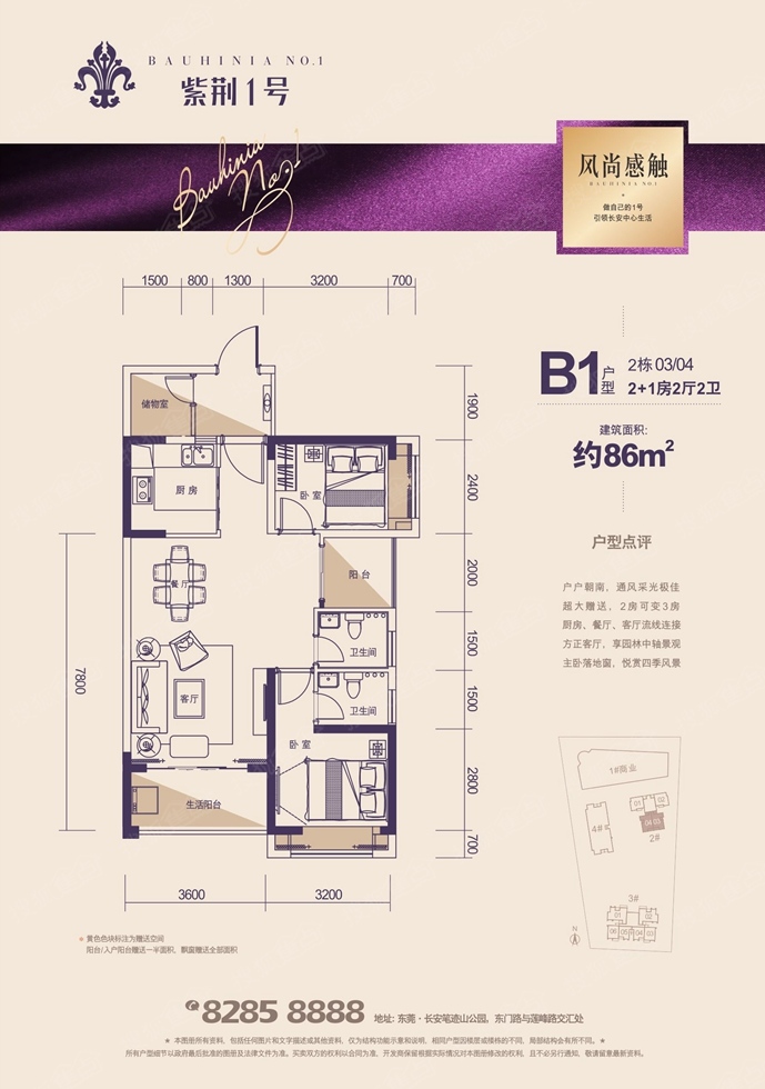 紫荆1号