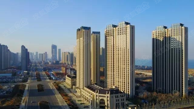 城戈3"大连队新闻发布会圆满举行-东港东17度紫御东方-大连搜狐焦点