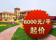�����翤6000Ԫ��������