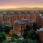 ����ֻ��D5�����Ż�