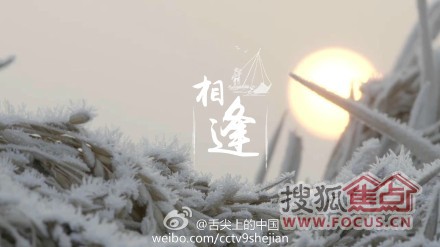 舌尖上的中国第二季潮汕 b_100753008.jpg