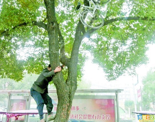 树上有个好地方搞笑剪辑 a_64891009.jpg