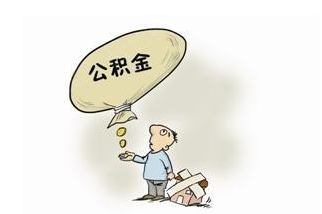 颈椎神经支配分布图_每月可支配收入(3)