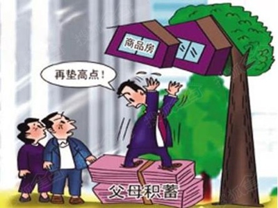 冯提莫收入多少_月收入多少算高薪(3)