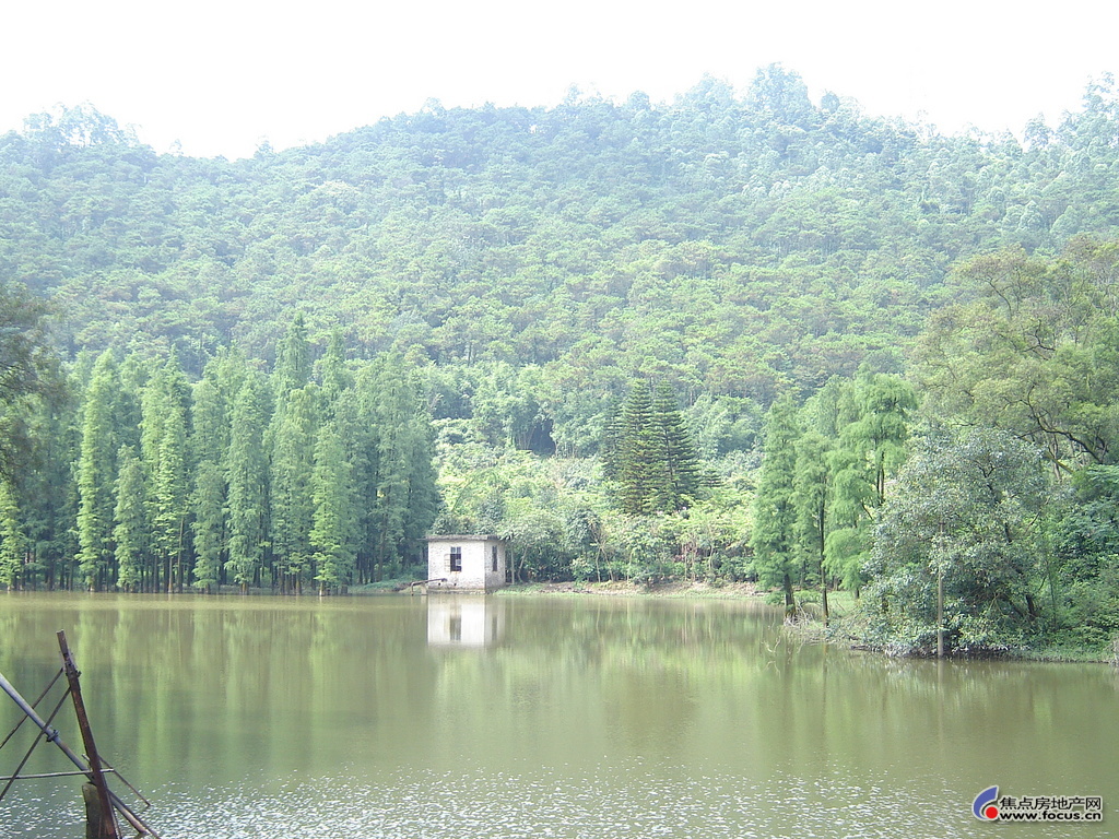 图:滴水岩森林公园部分照片-顺德碧桂园桂澜山-广州