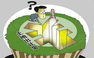 增值税专用发票_增值税直接收入(2)
