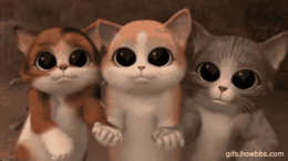 这次看房,应许多网友要求想看周边学校比较多的楼盘,这不,我们今天就