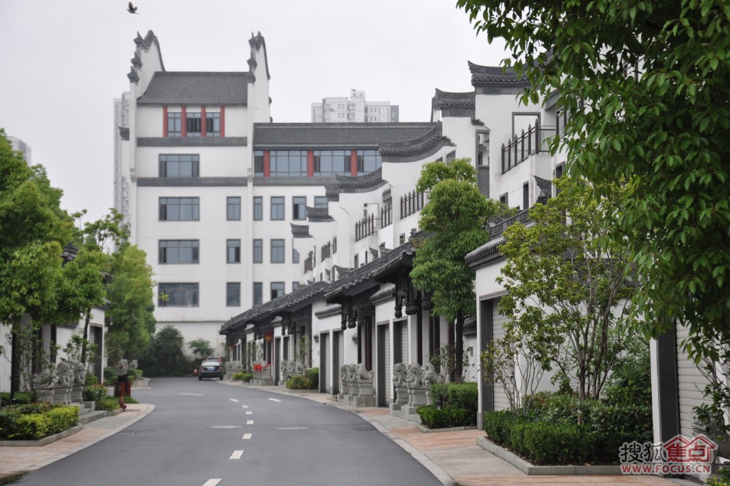 蓝鼎·棠溪人家实景图-合肥搜狐焦点网