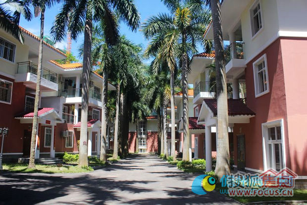 华西村人均收入_人均绿化率(2)