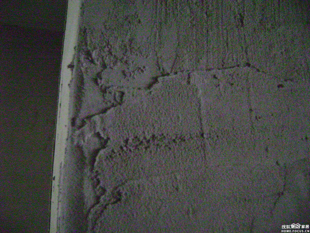 a_102930501.jpg