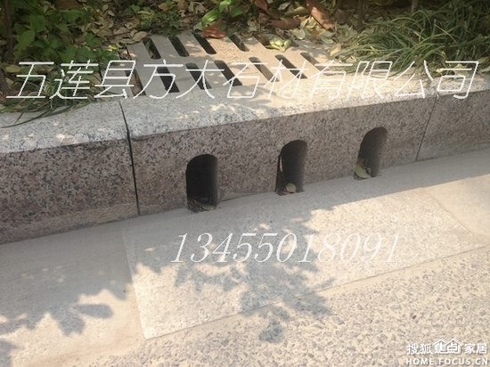a_115596447.jpg