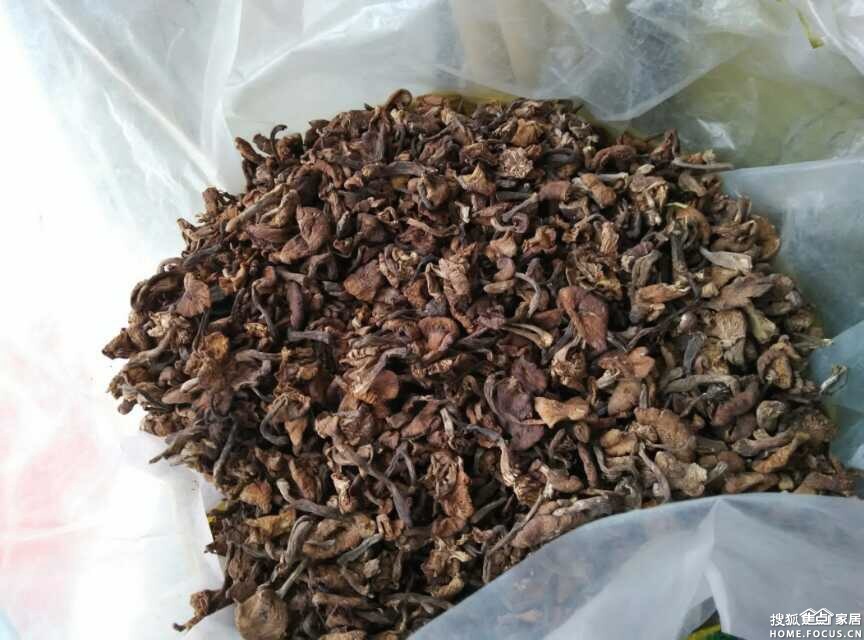 b_210828264.jpg