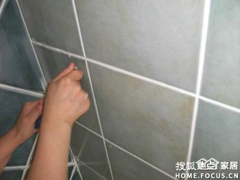 a_267620655.jpg