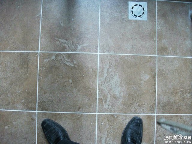 a_270791183.jpg
