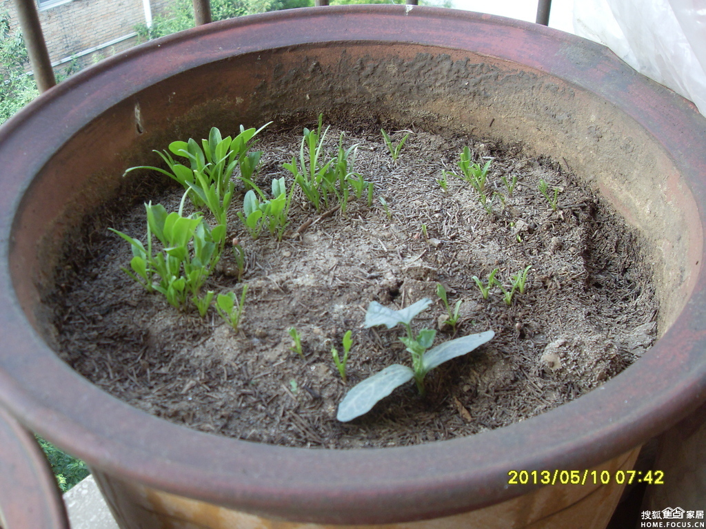 a_330492713.jpg