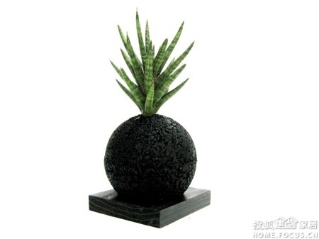 用什么做花盆好 a_372405297.jpg