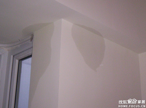 a_372587363.jpg