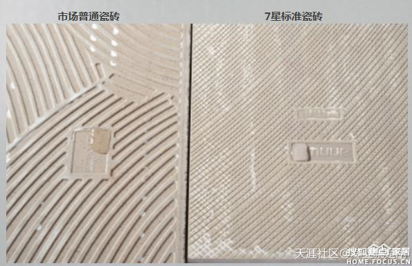 a_379826617.jpg