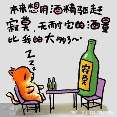 a_62817273.jpg