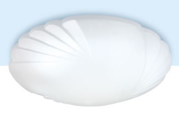 �ǿ���������