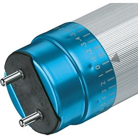 ������-LED�ƹ�