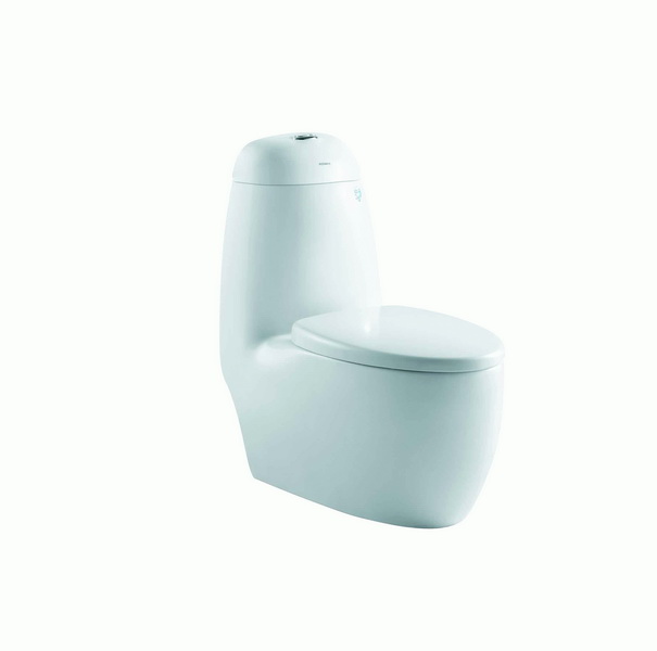 ��˹��һ��������AS-1219