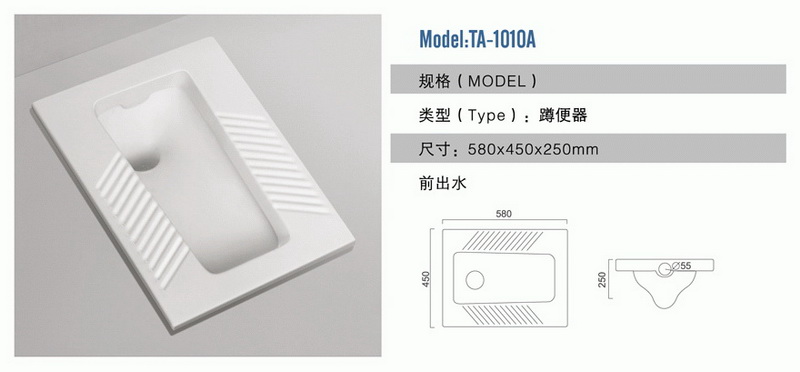 ̩�նױ���TA-1010