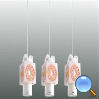ŷ�۶�-����