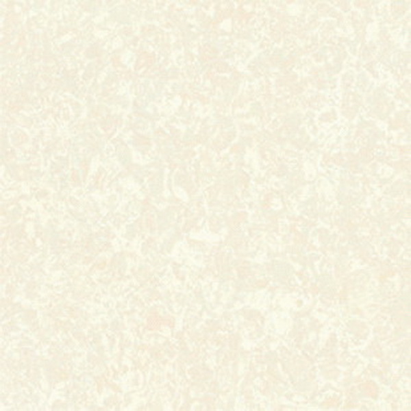 ����ɯ��שFPJ80102C