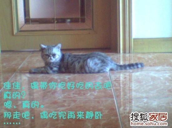 a_63932301.jpg