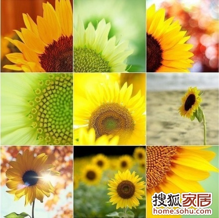 怎样让自己变得积极阳光向上 a_67050453.jpg