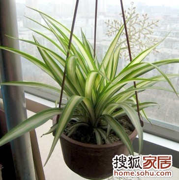 a_67709939.jpg