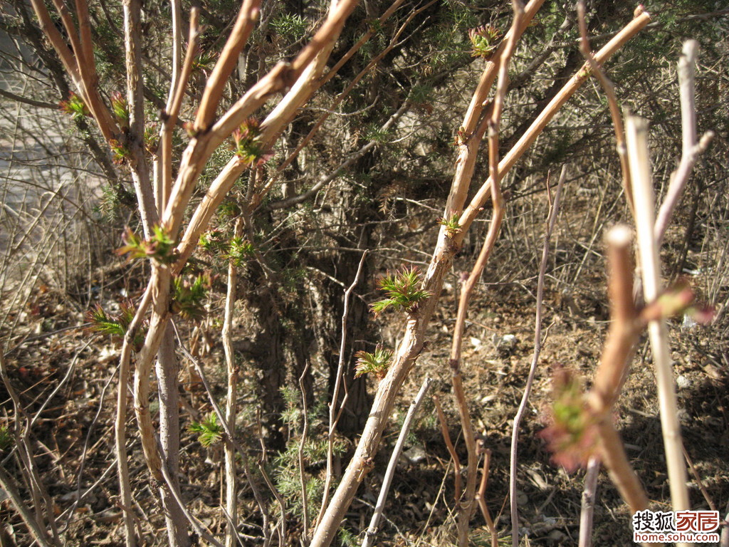 a_67718473.jpg