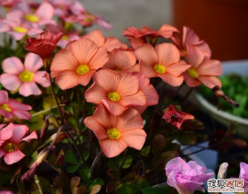 a_67735017.jpg