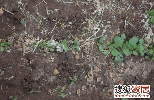 a_68922043.jpg