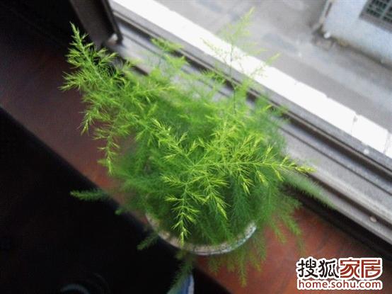 a_70978535.jpg