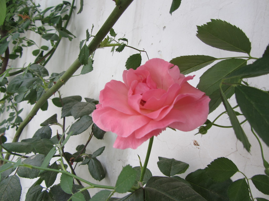 b_74588828.jpg