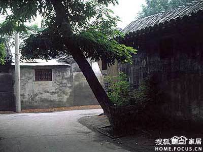 a_80902467.jpg