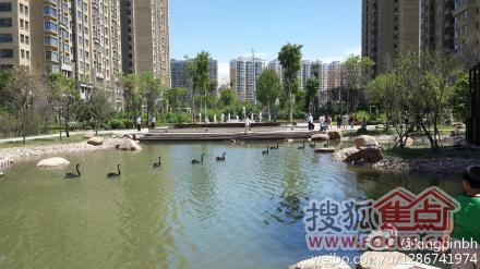 鑫都丽水图片-鑫都丽水相册-哈尔滨业主论坛-搜狐焦点