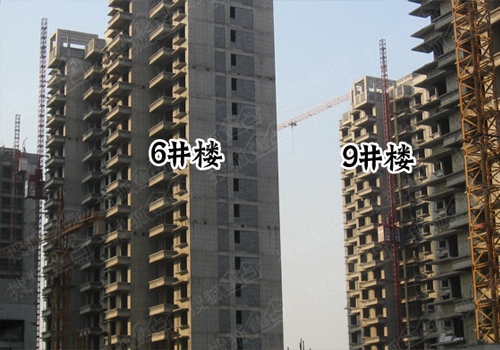橄榄绿洲图片-橄榄绿洲相册-衡水业主论坛-搜狐焦点网
