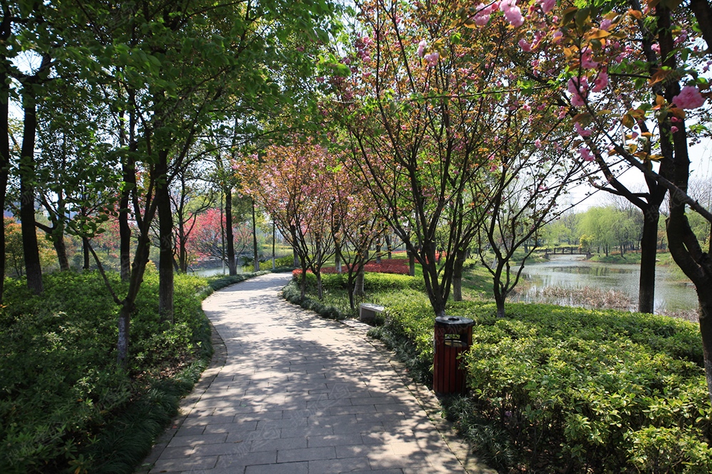 皋亭山风景区实景图