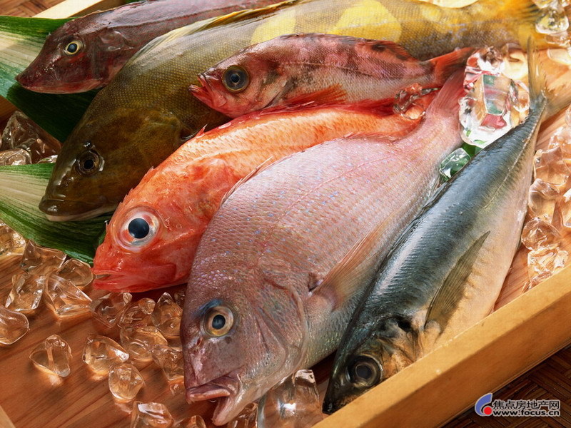 作文介绍海鲜美食_海鲜美食图片_洞头海鲜美食街