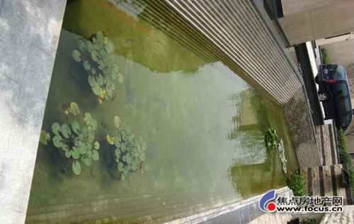 楼盘日记 风雅乐府,大家来看看噢 工信风雅乐府业主论坛高清图片