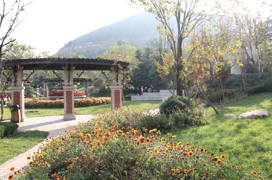 鲁能领秀城森林公园 这边风景独好